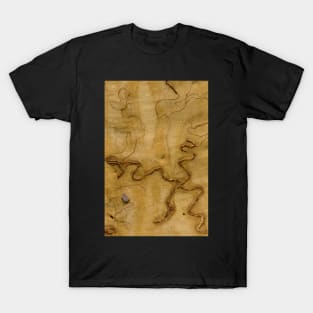 Scribbly Gum 3 T-Shirt